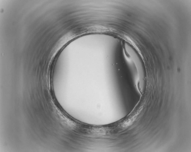 X0000059240843200510281929