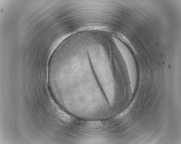 X0000059240844200510281929