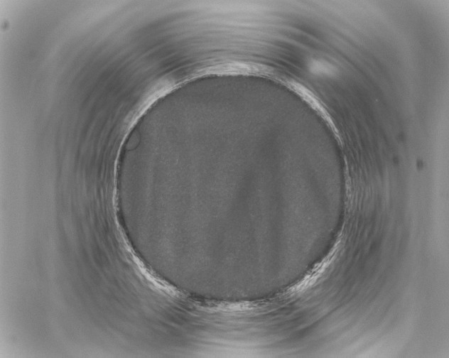 X0000059240845200510281929