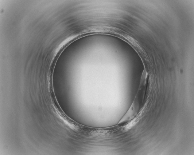 X0000059240846200510281929