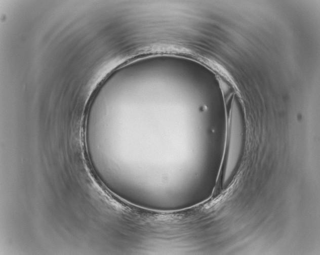 X0000059240847200510281929