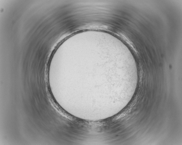 X0000059240848200510281929