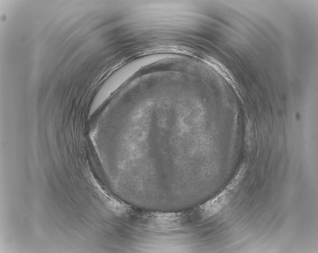 X0000059240849200510281929