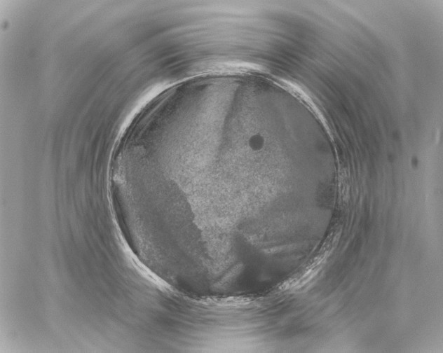 X0000059240851200510281929