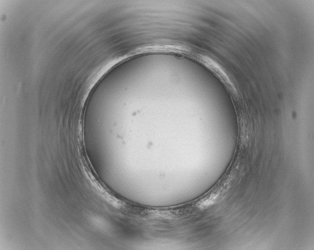 X0000059240852200510281929