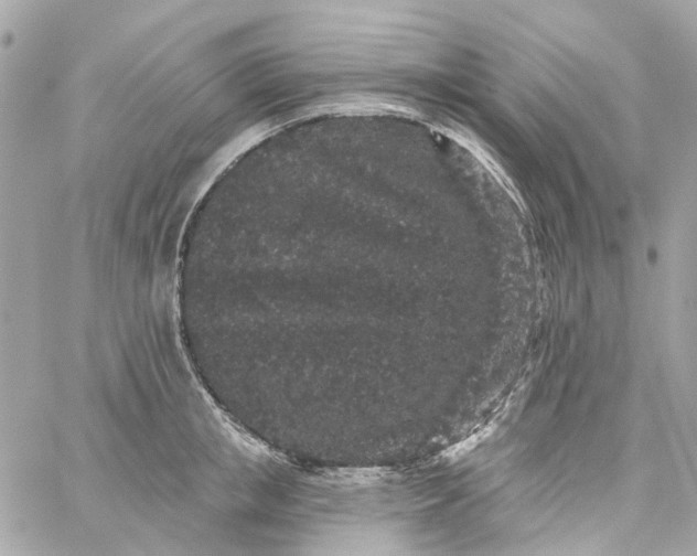 X0000059240853200510281929