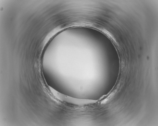 X0000059240854200510281929