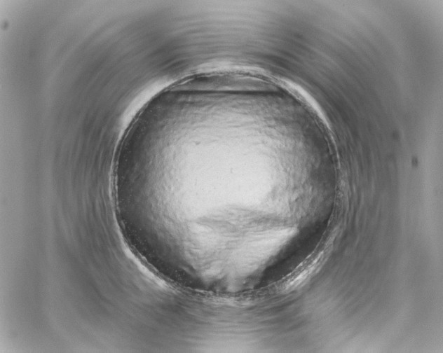 X0000059240855200510281929