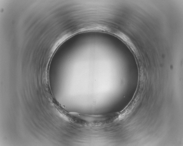 X0000059240858200510281929