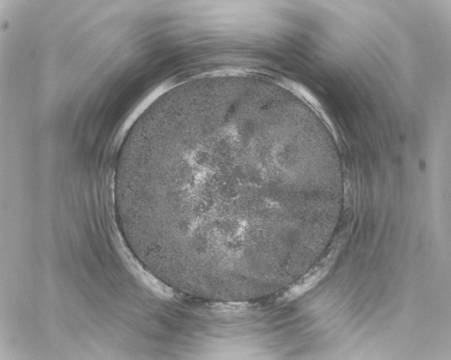 X0000059240859200510281929