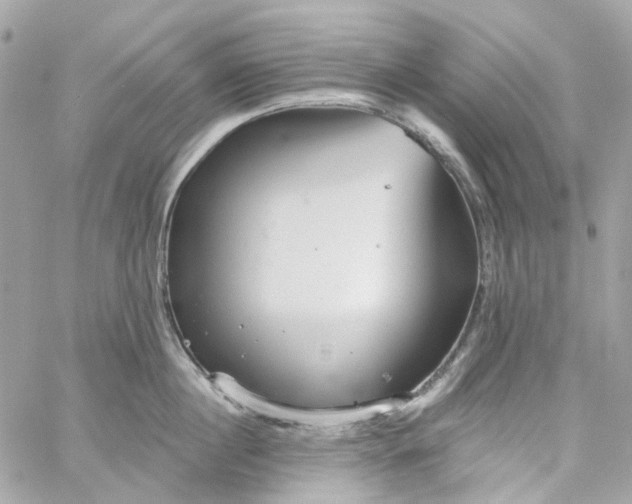 X0000059240860200510281929