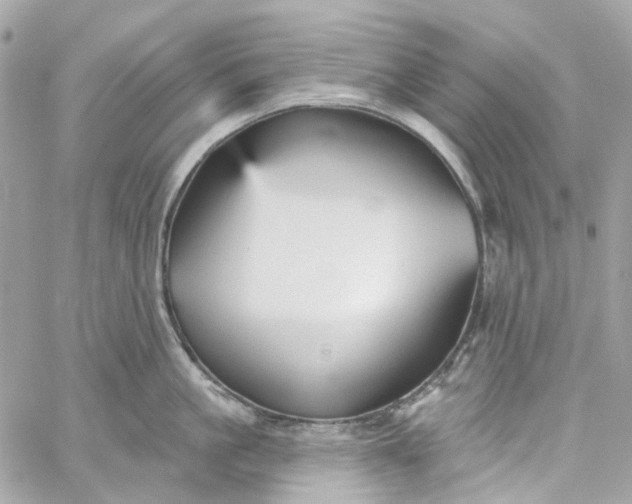 X0000059240861200510281929