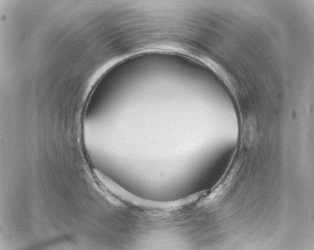 X0000059240862200510281929