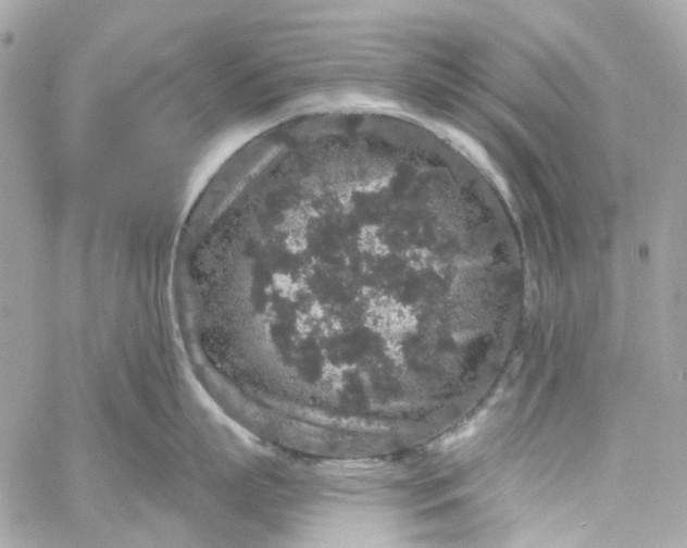 X0000059240863200510281929