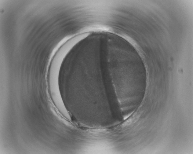 X0000059240864200510281929