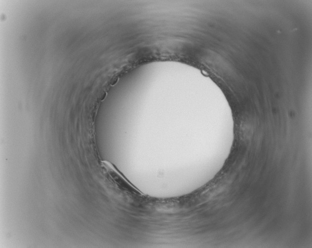 X0000059240865200510281928