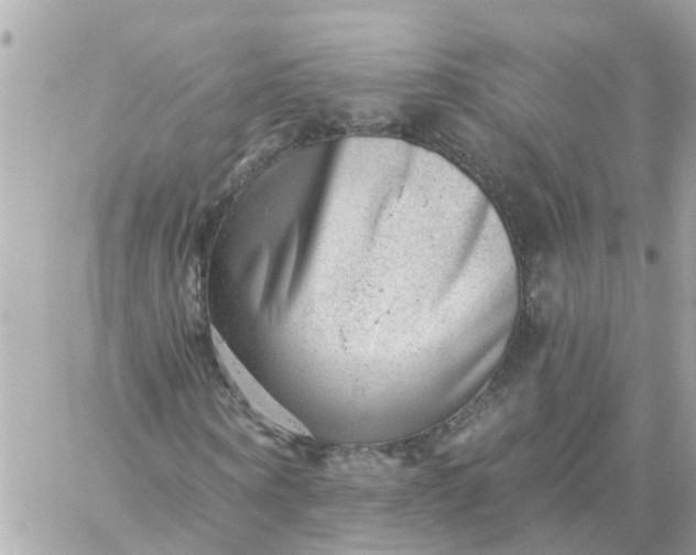 X0000059240866200510281928