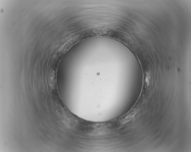 X0000059240867200510281928