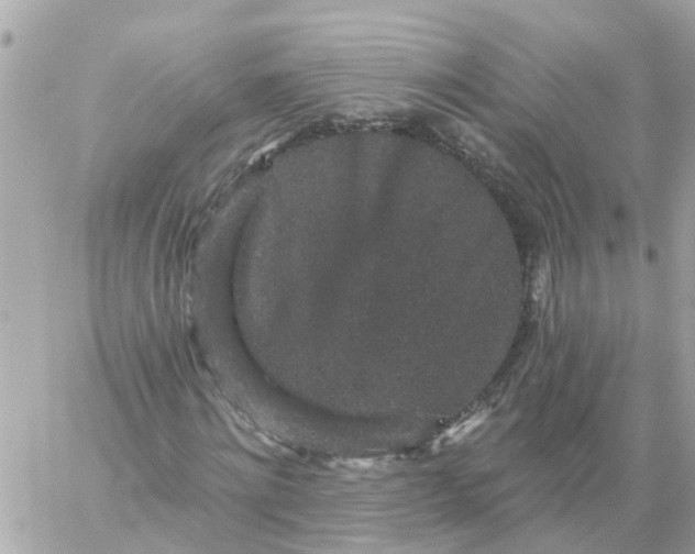 X0000059240868200510281928