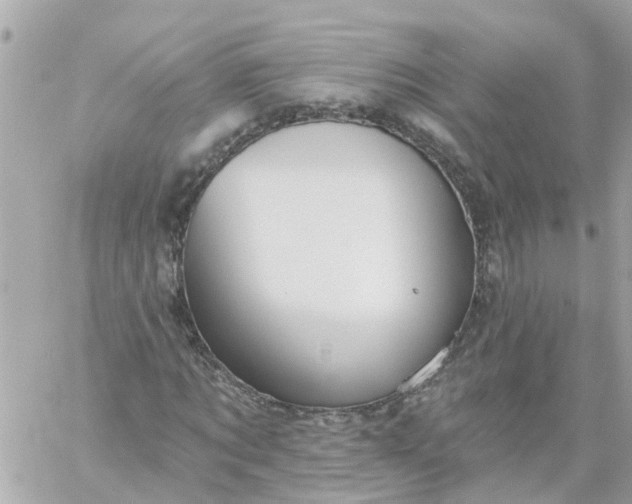 X0000059240869200510281928