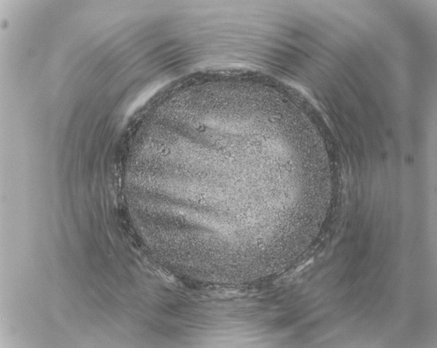 X0000059240871200510281928