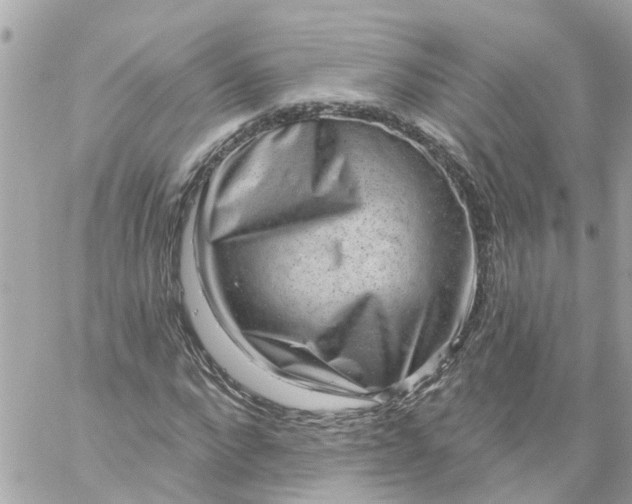 X0000059240872200510281928