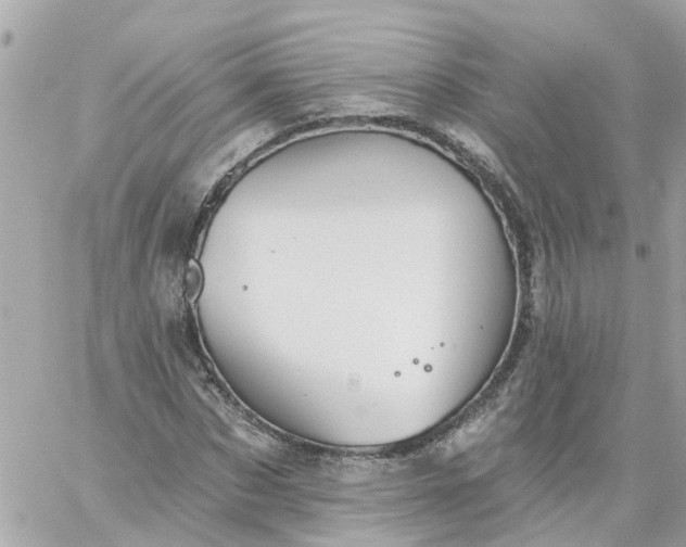 X0000059240873200510281928