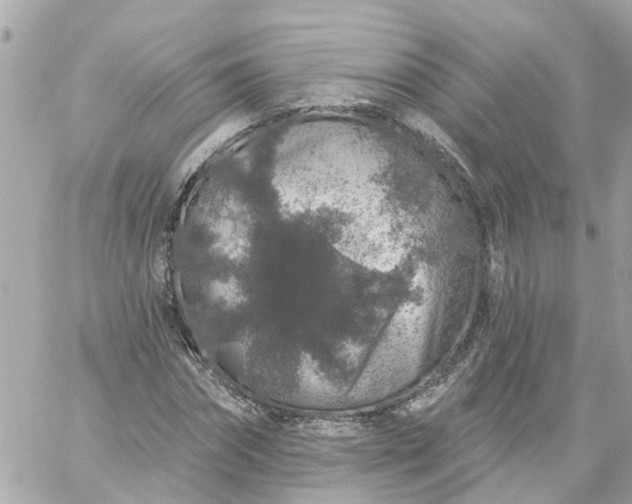 X0000059240874200510281928