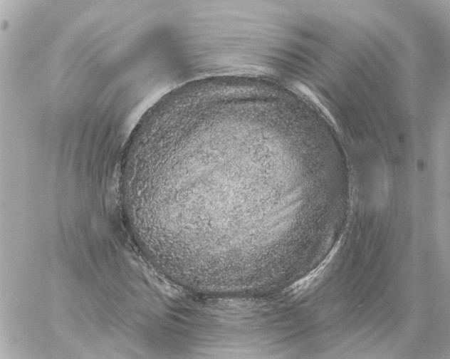 X0000059240875200510281928