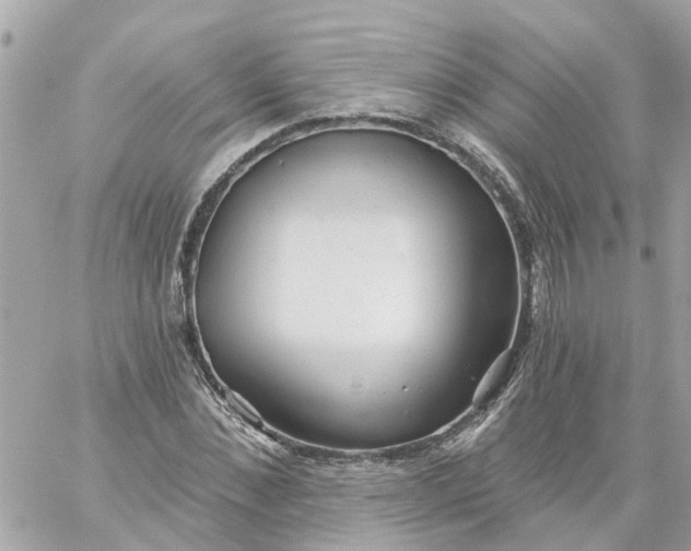 X0000059240876200510281928