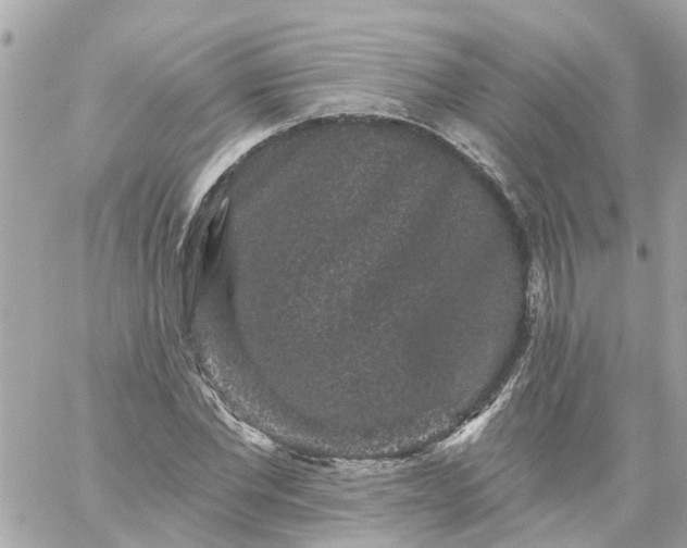 X0000059240877200510281928