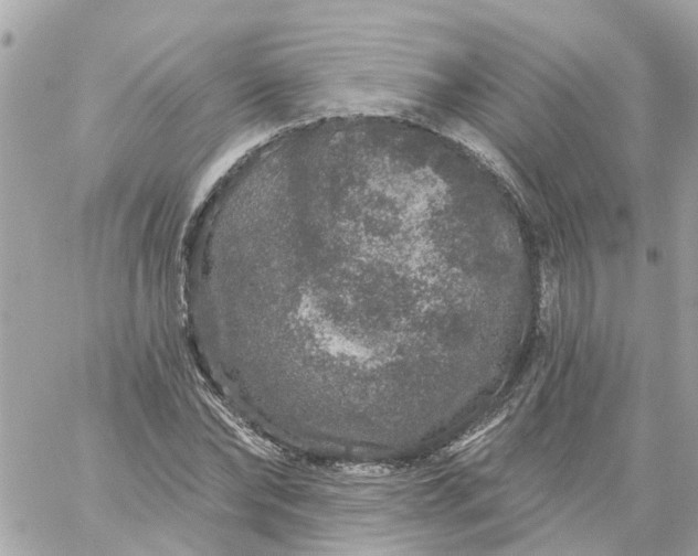 X0000059240878200510281928