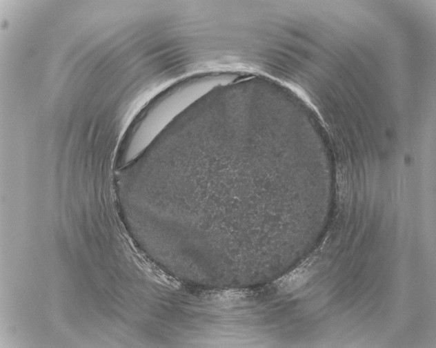 X0000059240879200510281928