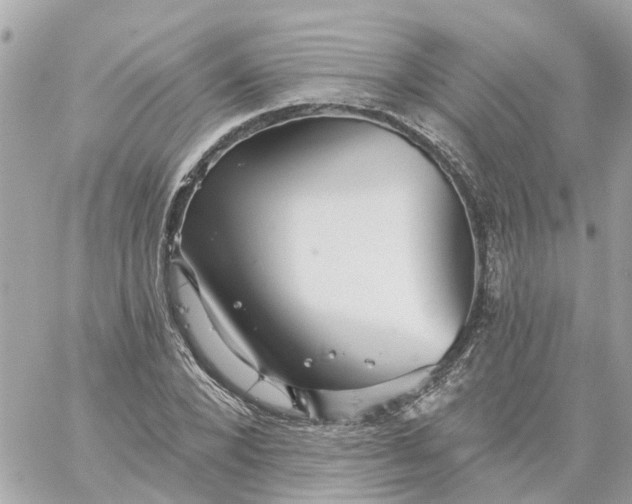 X0000059240880200510281928