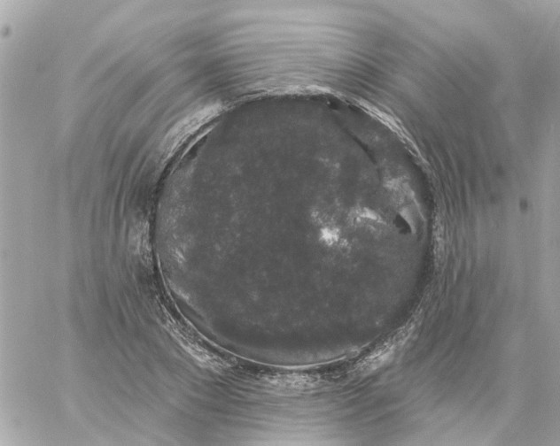 X0000059240881200510281928