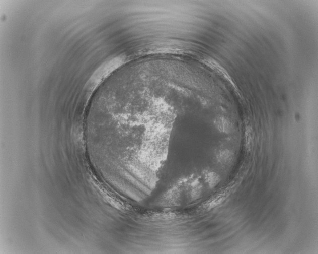 X0000059240882200510281928