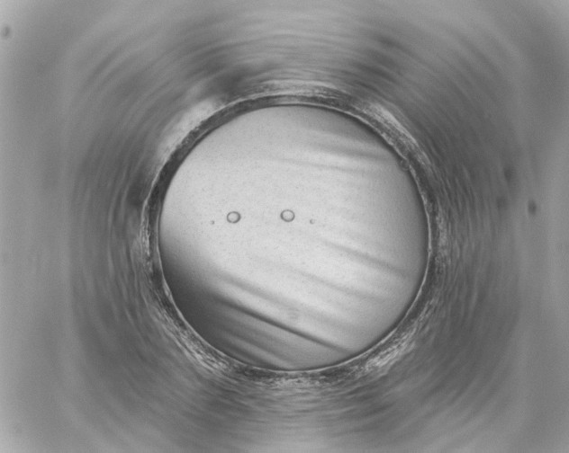 X0000059240883200510281928