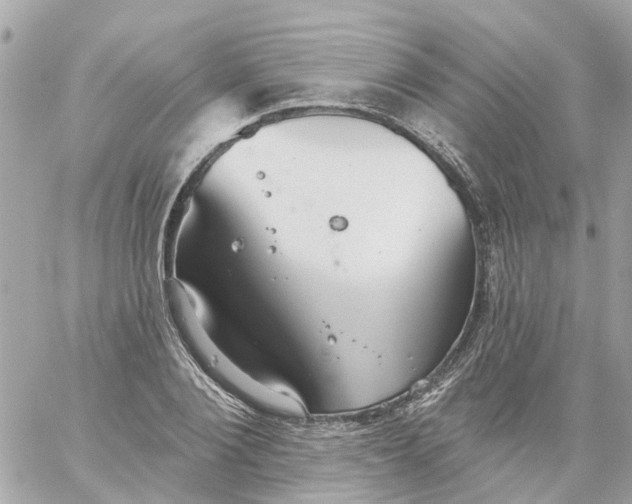 X0000059240884200510281928