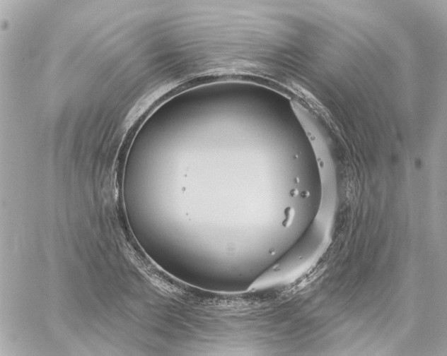 X0000059240885200510281928