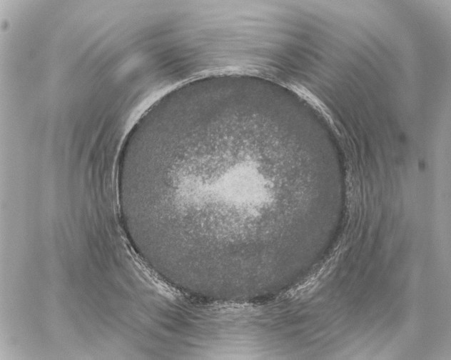 X0000059240886200510281928