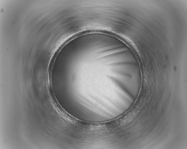 X0000059240887200510281928