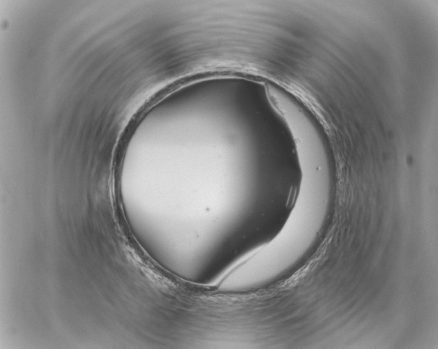 X0000059240888200510281928