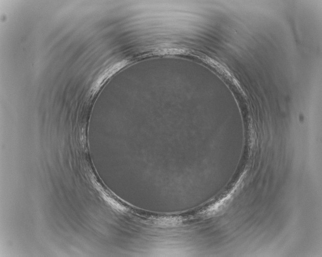 X0000059240889200510281928