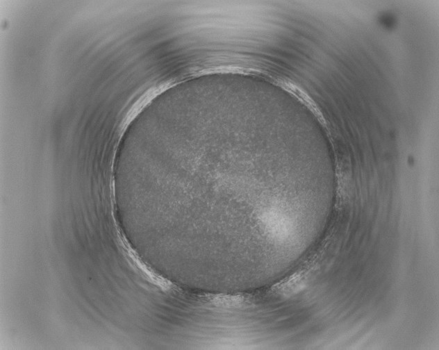 X0000059240890200510281928