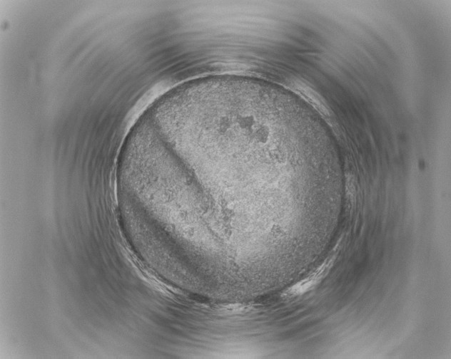 X0000059240891200510281928