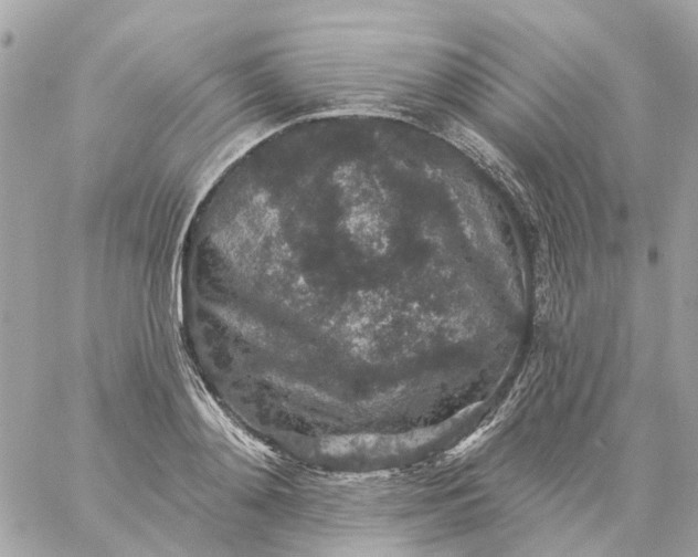 X0000059240892200510281928