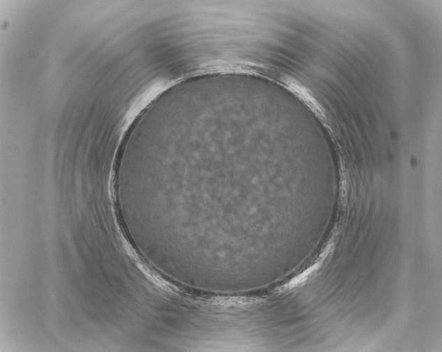 X0000059240893200510281928