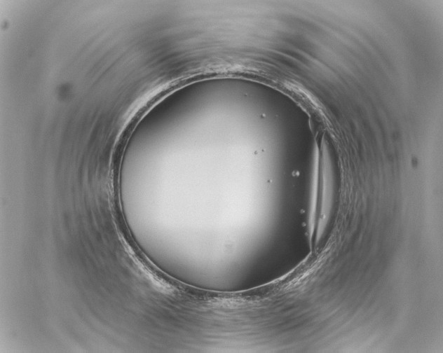 X0000059240894200510281928