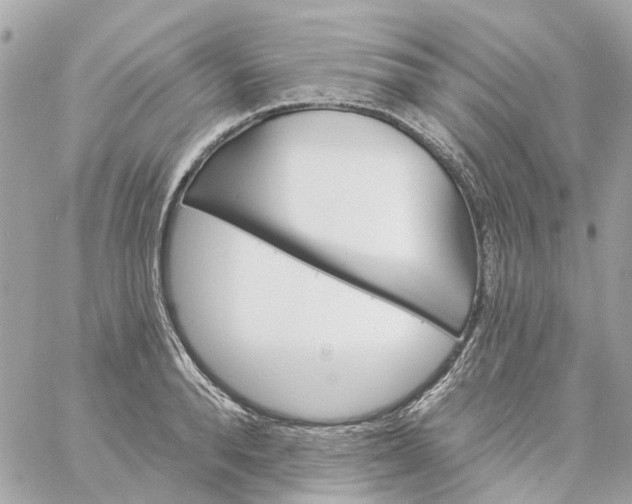 X0000059240896200510281928