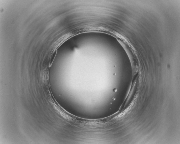 X0000059240897200510281928